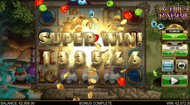 White Rabbit Image-2